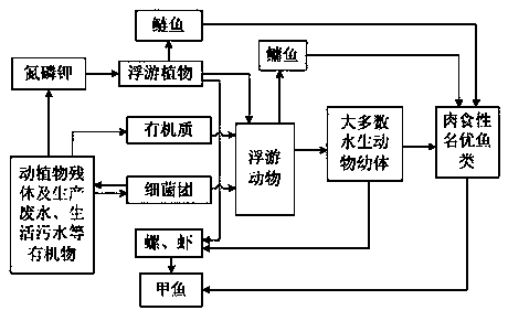 Ecological fish culture and biological water purification integrated breeding system and method