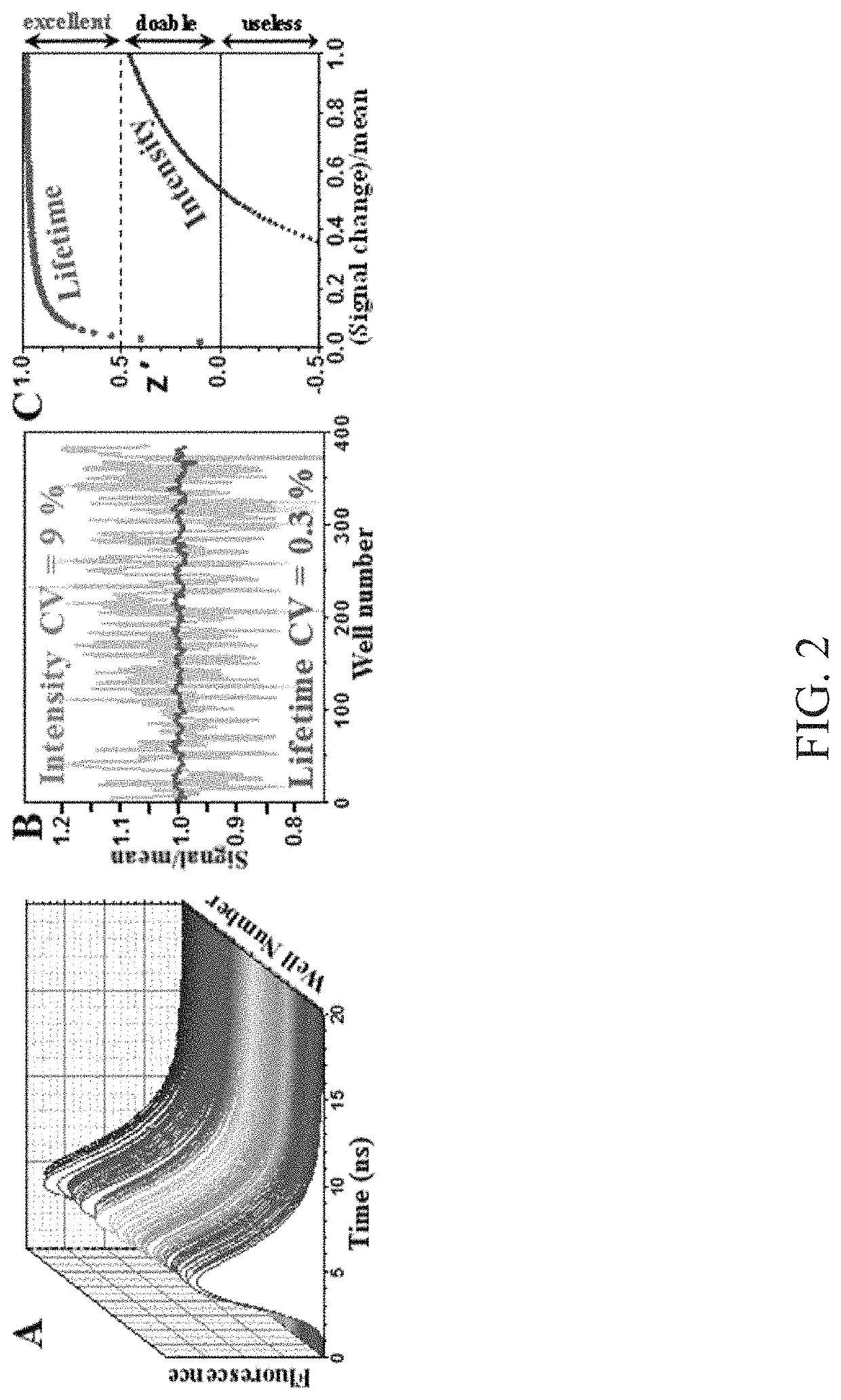 High-throughput, high-precision methods for detecting protein structural changes in living cells