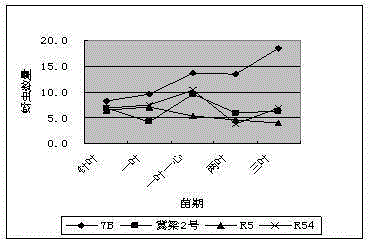 A kind of breeding method of aphid-resistant sorghum