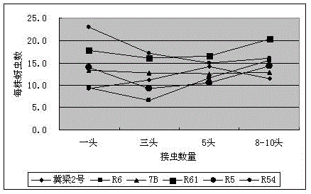 A kind of breeding method of aphid-resistant sorghum