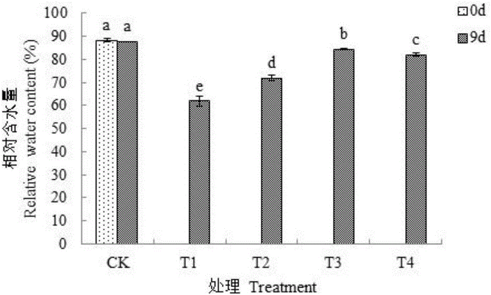 Method for relieving drought stress of Actinidia chinensis fruit trees