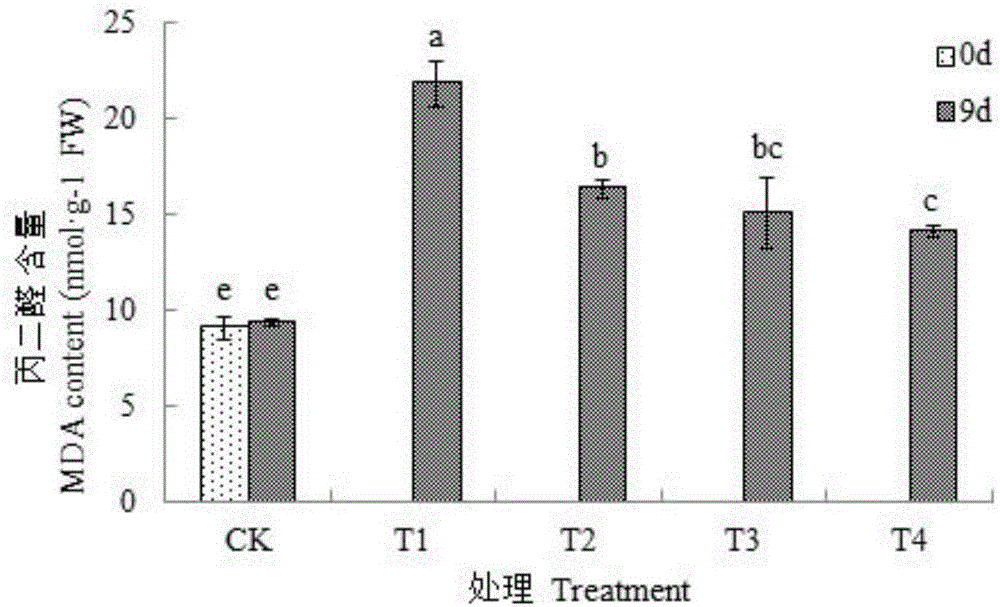 Method for relieving drought stress of Actinidia chinensis fruit trees