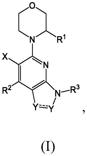 Substituted 2-morpholinopyridine derivatives as ATR kinase inhibitors