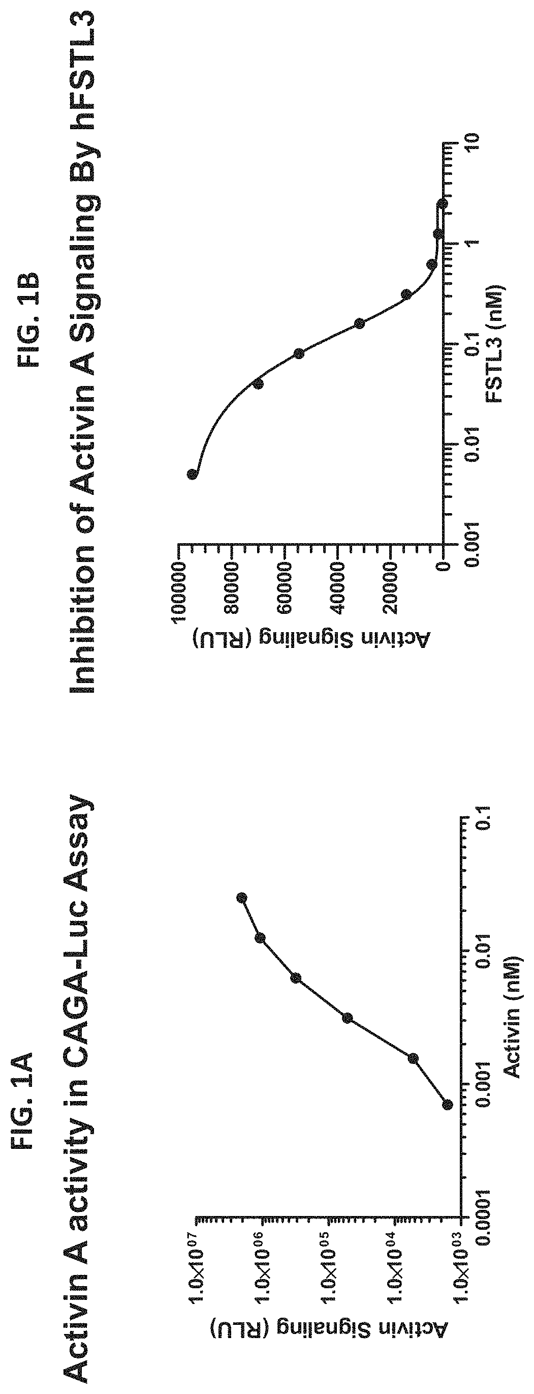 Anti-follistatin-like 3 antibodies and treatment of diabetes