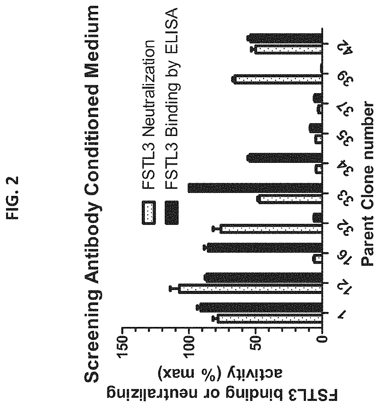 Anti-follistatin-like 3 antibodies and treatment of diabetes