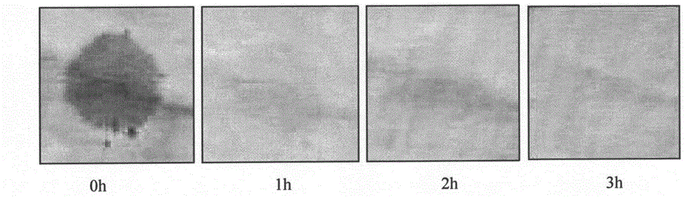 Preparation method of long-acting photocatalytic self-cleaning fabric