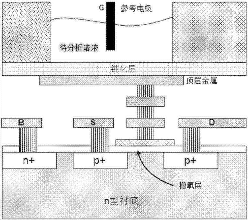 Switched capacitor type ISFET signal reading circuit and control method thereof