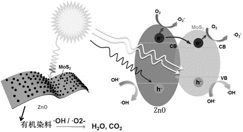 A kind of photocatalyst and its preparation method and application