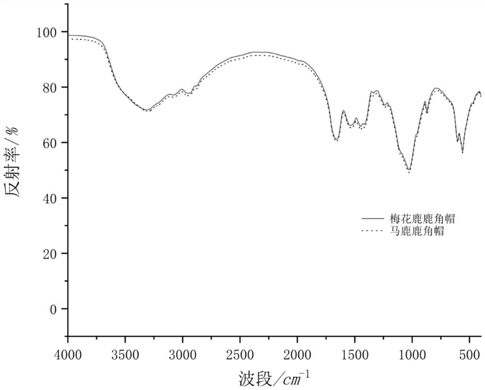 Intermediate infrared spectrum and SVM-based antler cap type identification method