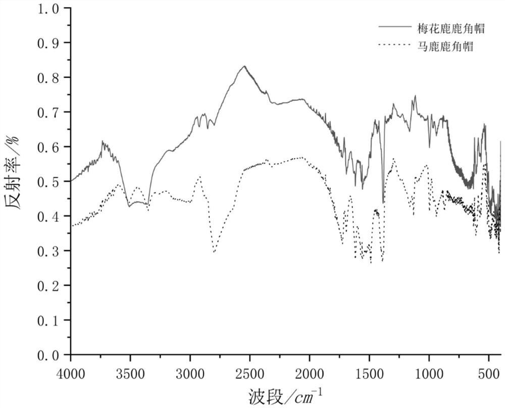 Intermediate infrared spectrum and SVM-based antler cap type identification method