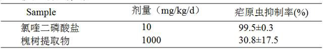 Preparation method and antimalarial application of locust tree extract and pharmaceutical composition thereof