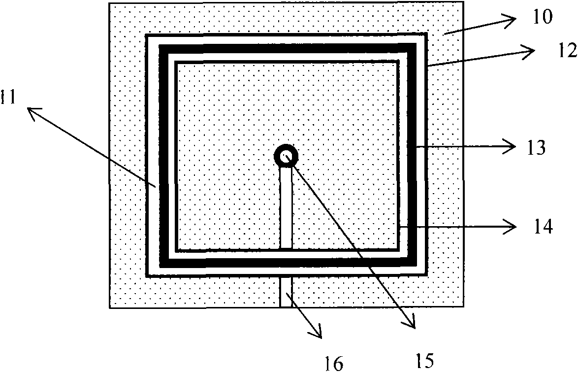 Open box system for determining whole tree gas exchange