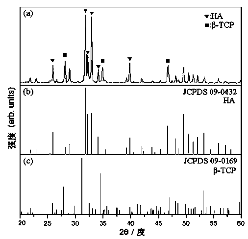 Surface nano-scale modified calcium phosphate bioactive ceramic as well as preparation method and application thereof