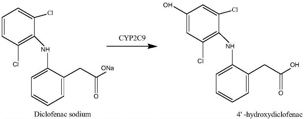 Method for detecting CYP2C9 enzyme activity in earthworms by adopting high-performance liquid chromatography-tandem mass spectrometry