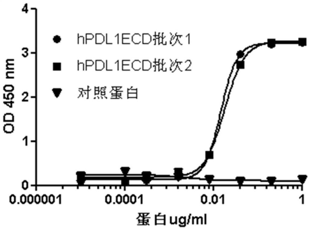 A kind of PD-1 antibody and its preparation method and application