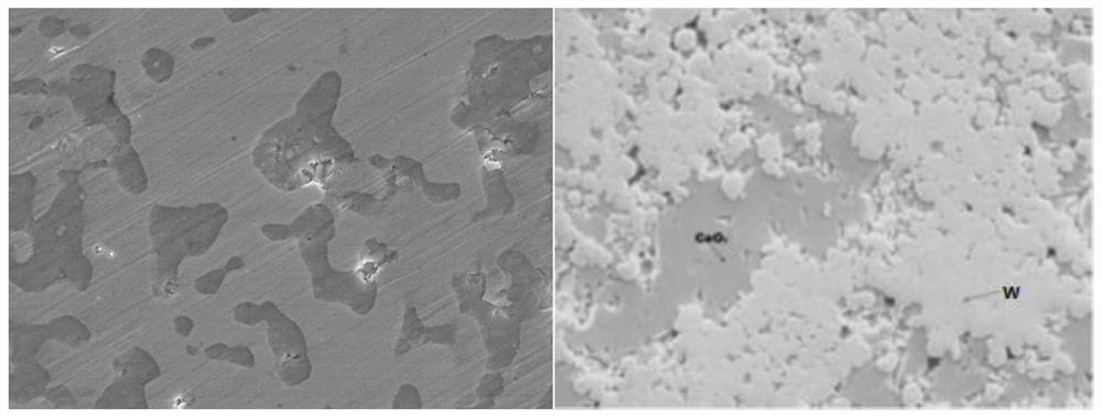 A kind of spark plasma sintering preparation method of cermet fuel pellets