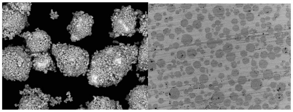 A kind of spark plasma sintering preparation method of cermet fuel pellets