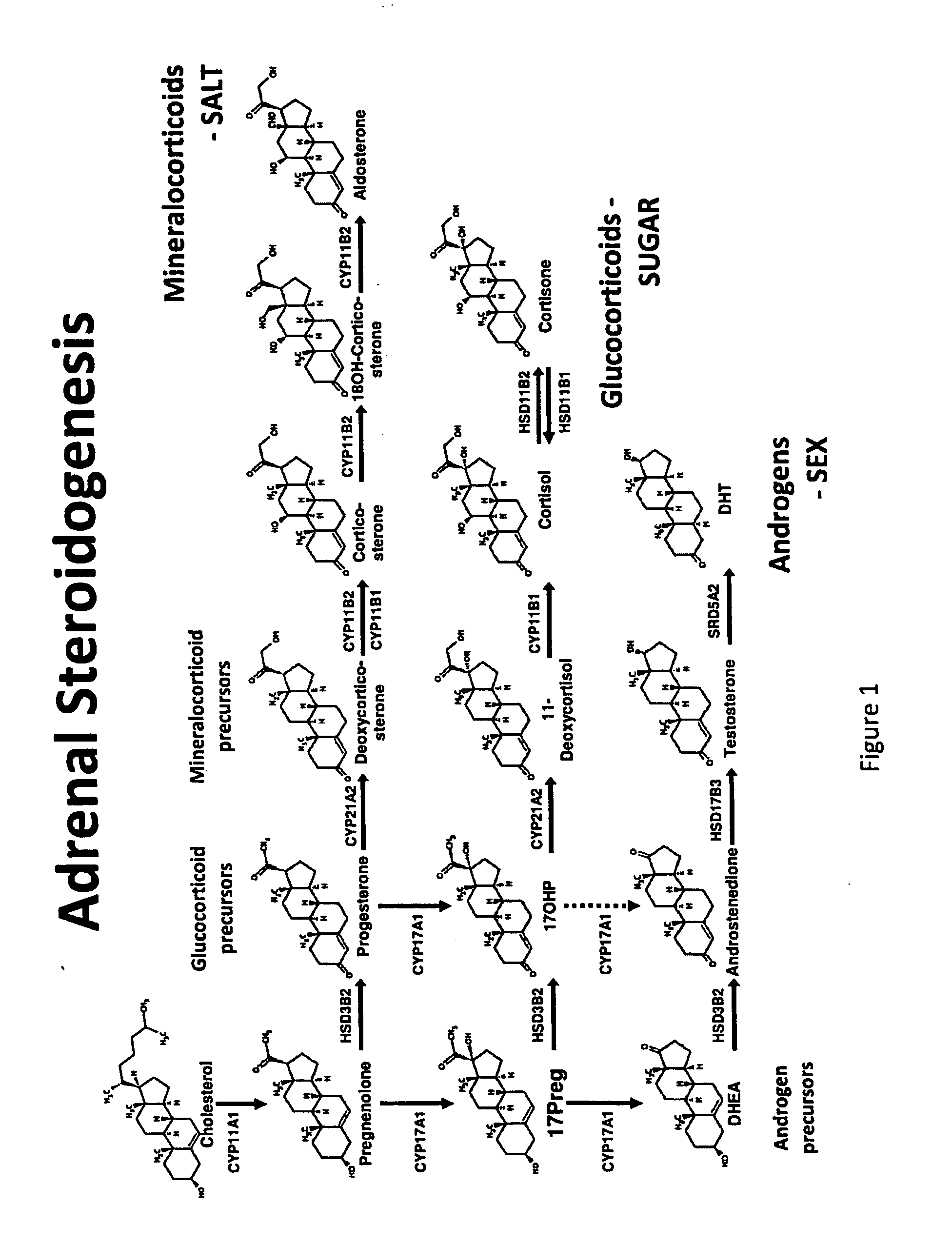 Assay for detection of adrenal tumour