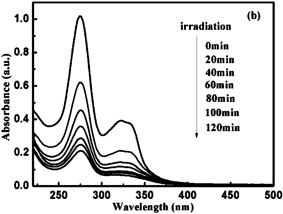 Preparation method of a selective and specific recognition ppy@znfe2o4 magnetically imprinted composite photocatalyst