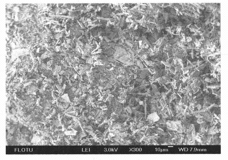 Method for preparing calcium sulfate crystal whiskers by using impurity-containing gypsum as raw material