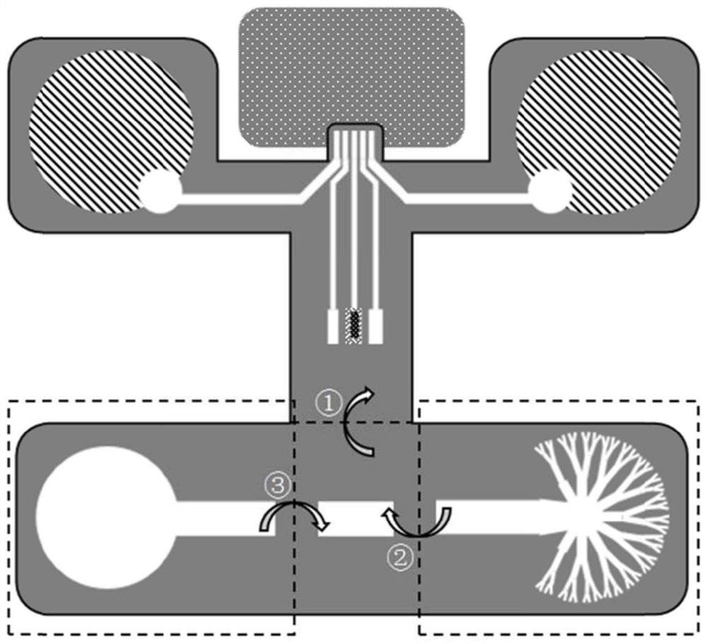 Conductive hydrogel paper-based equipment for synchronously monitoring physiological and biochemical parameters