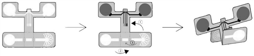 Conductive hydrogel paper-based equipment for synchronously monitoring physiological and biochemical parameters