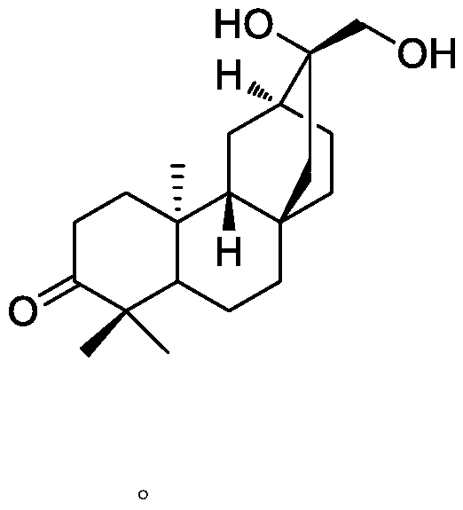 Application of atisane type diterpenoid