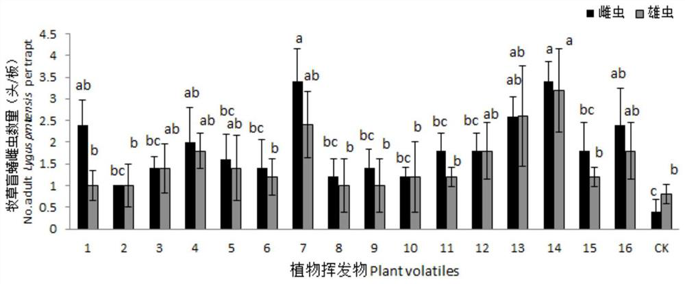 A Novel Attractant for Grass Lygus and Its Preparation Method and Application