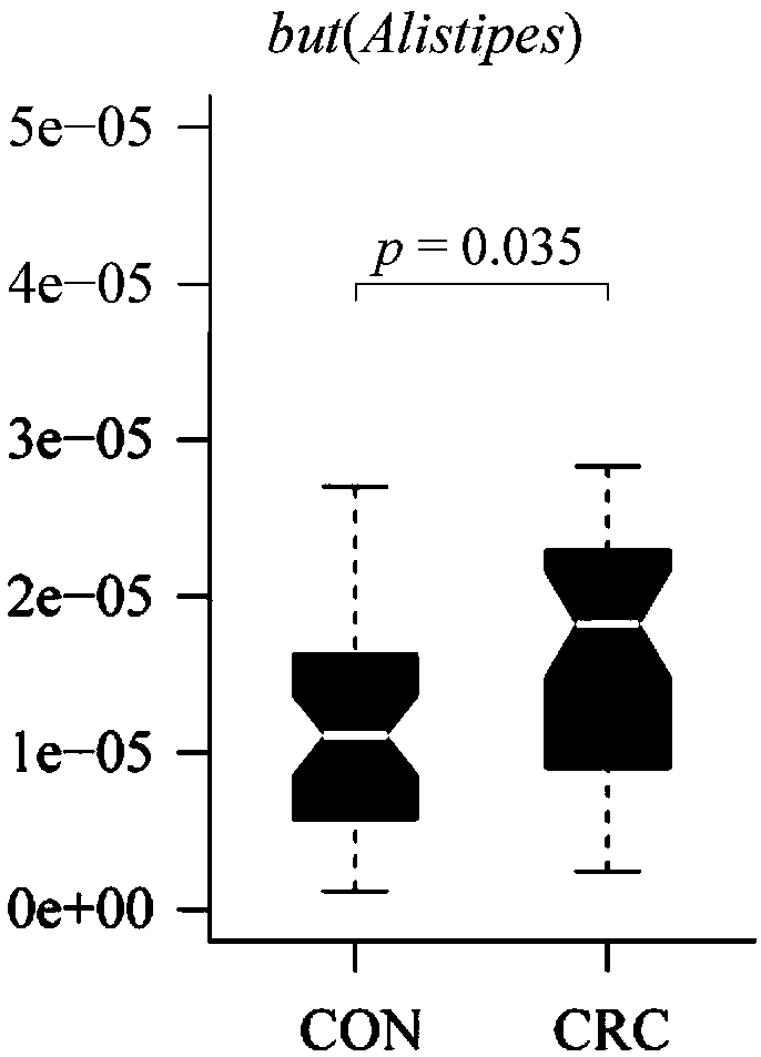 Primer pair and kit for detecting butyric acid synthetic gene