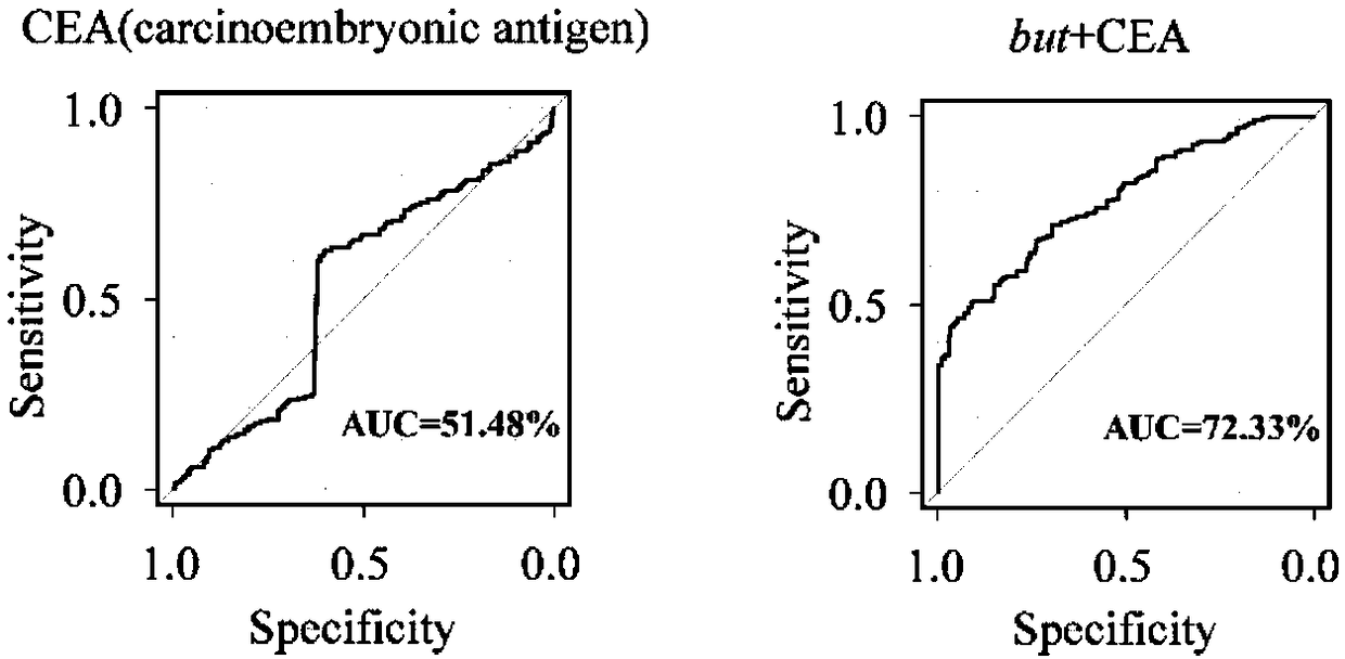 Primer pair and kit for detecting butyric acid synthetic gene