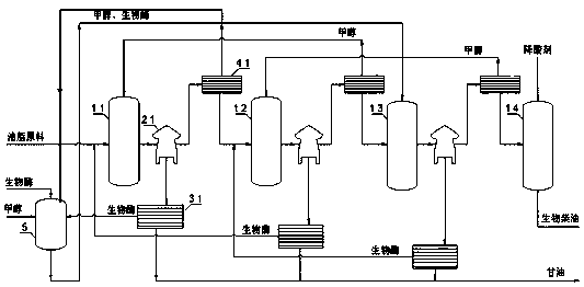 Process system for preparing biodiesel by stepped reverse-flow type continuous enzymatic method