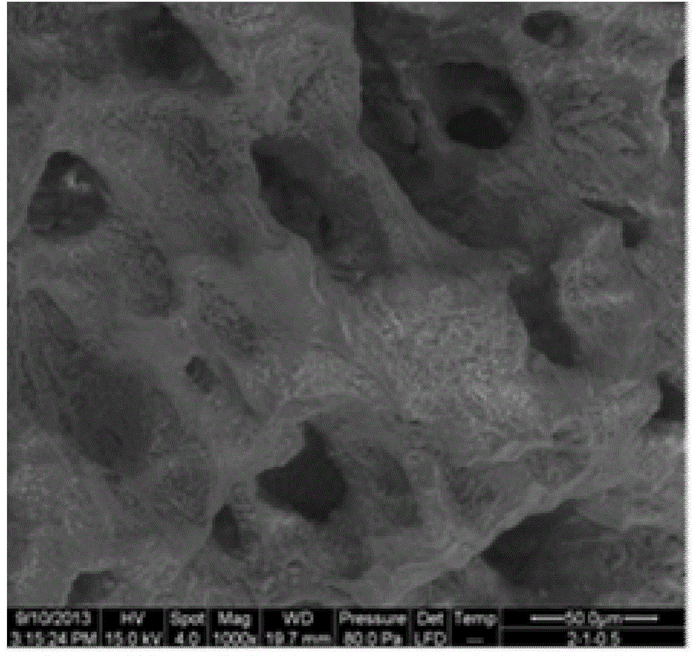 A preparation method of bone graft material coated with adiponectin