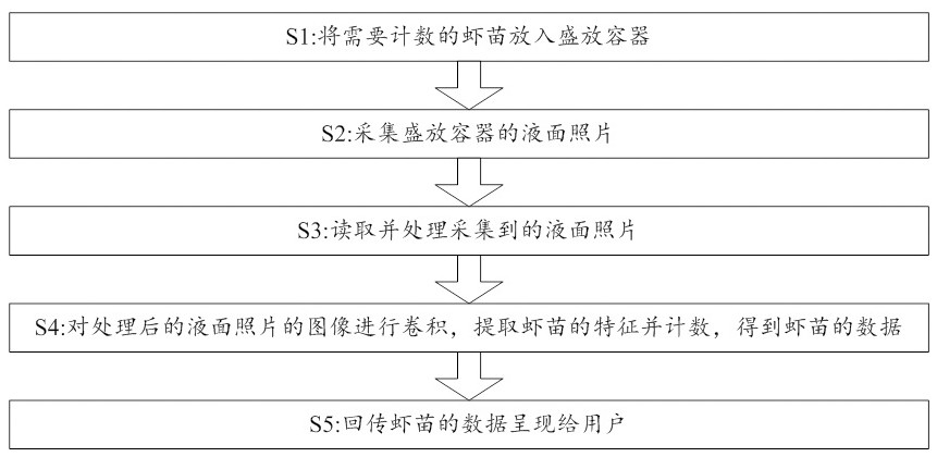 Shrimp seed counting device and method based on visual identification technology