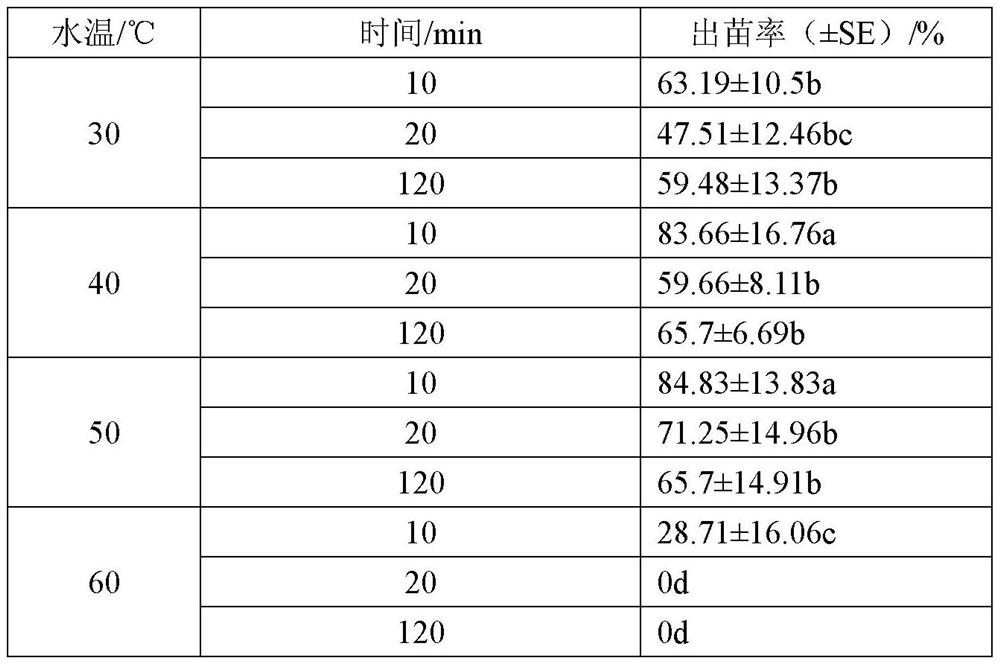 High-efficiency Seedling Cultivation Method of Shuisu Seeds