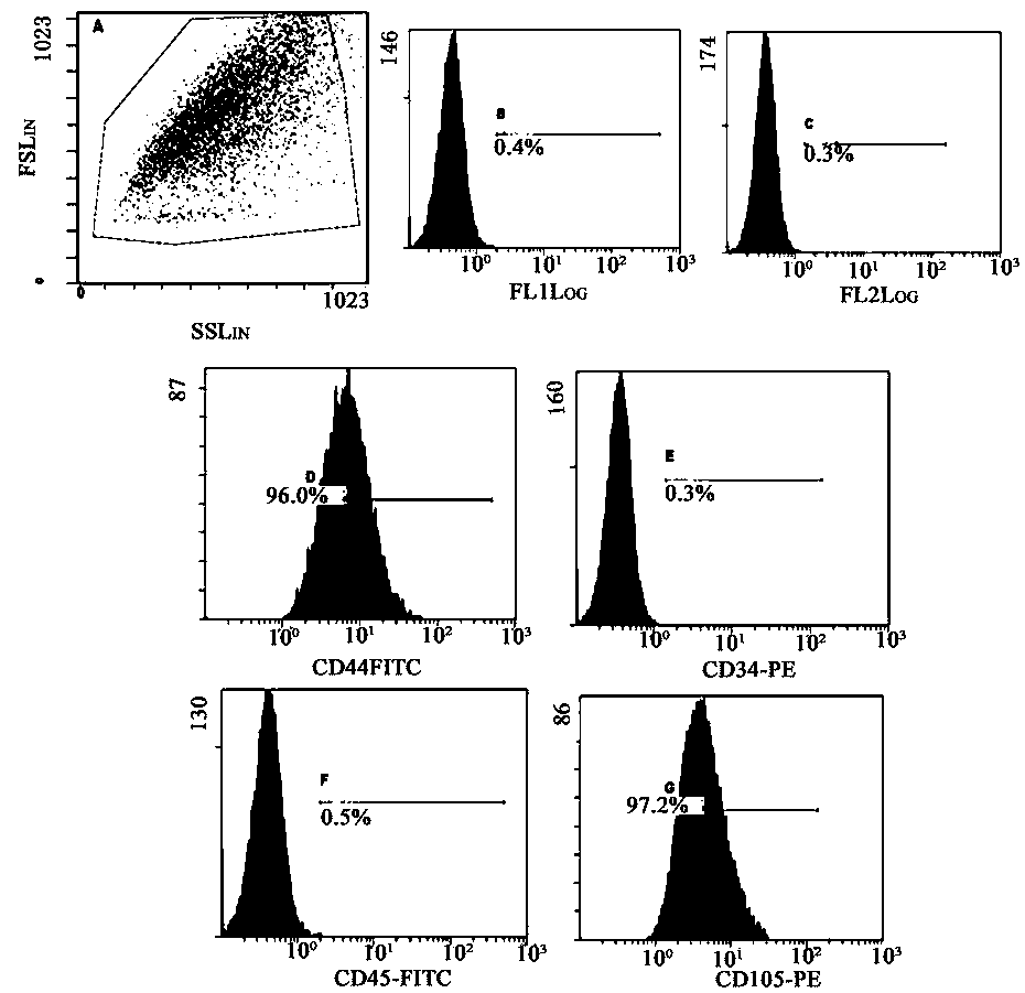 A method to obtain safe and effective umbilical cord mesenchymal stem cells