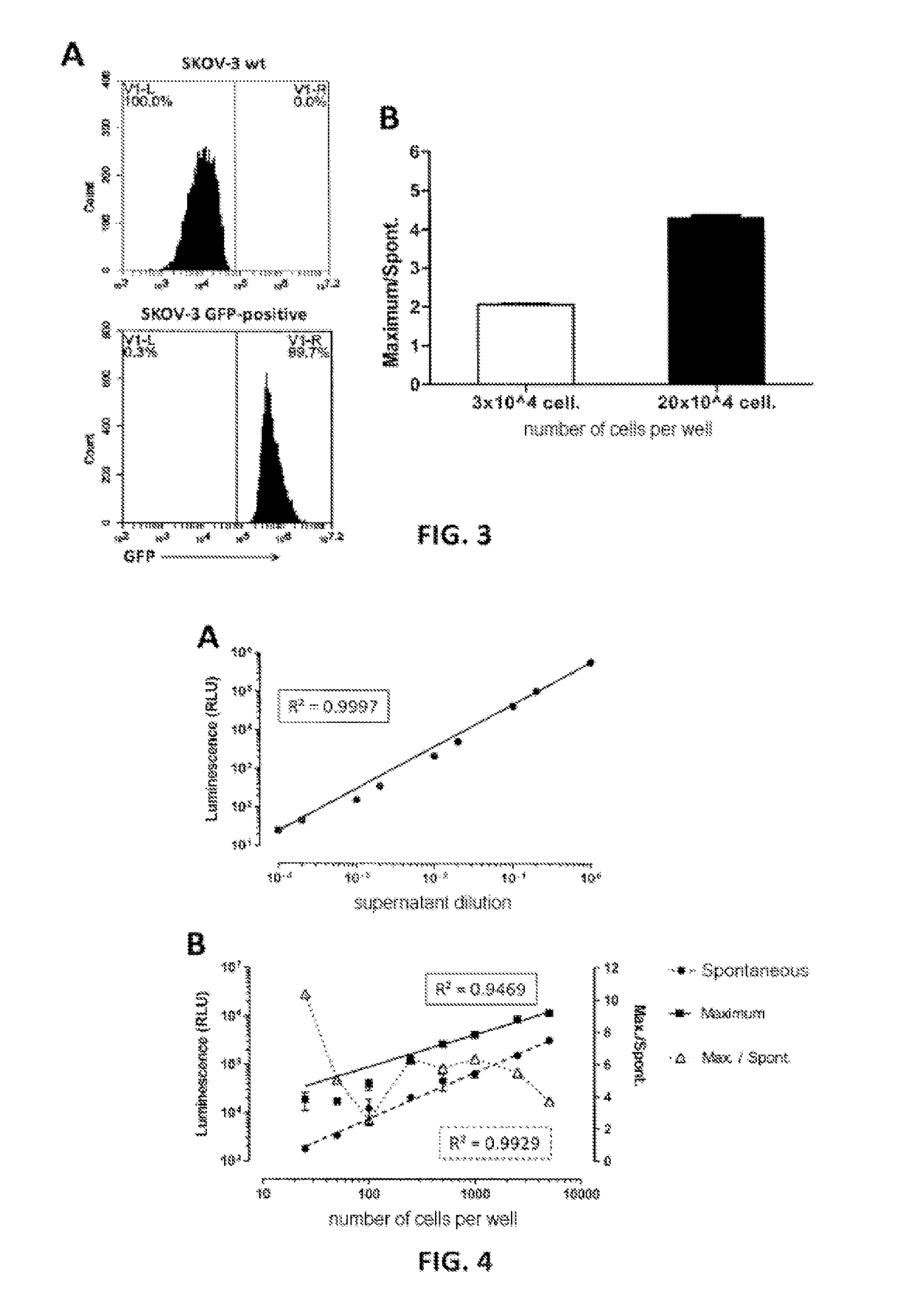 Non-radioactive method for determining the cytolitic activity of an agent with respect to target cells, use thereof and associated kit