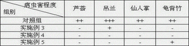 Soilless potting matrix and preparation method thereof