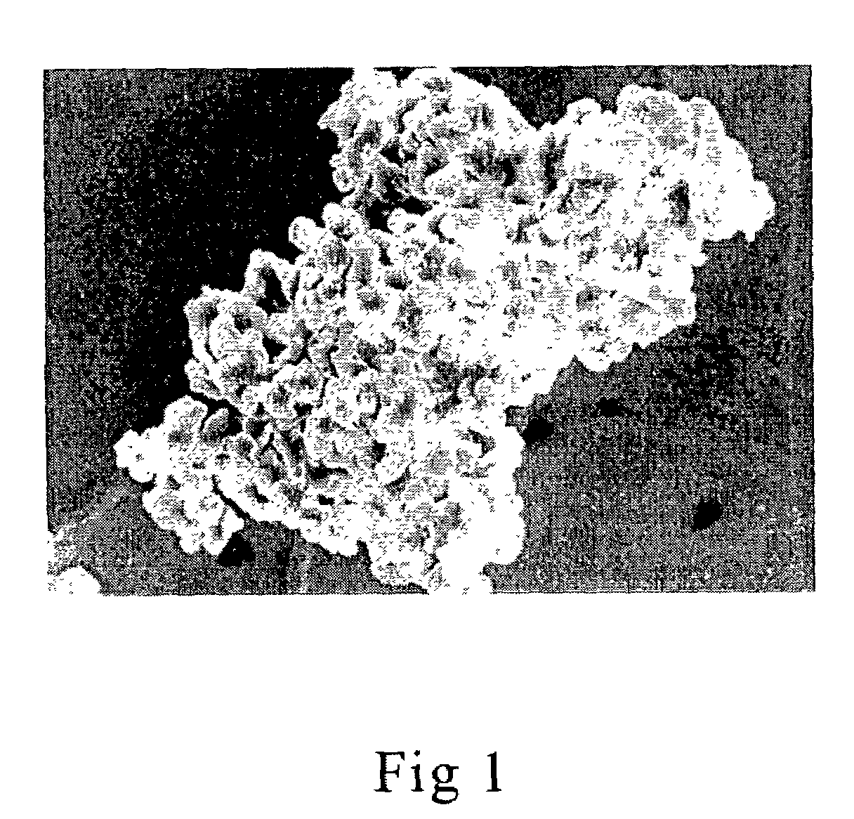 Porous polymer water filter and methods of use in refrigeration