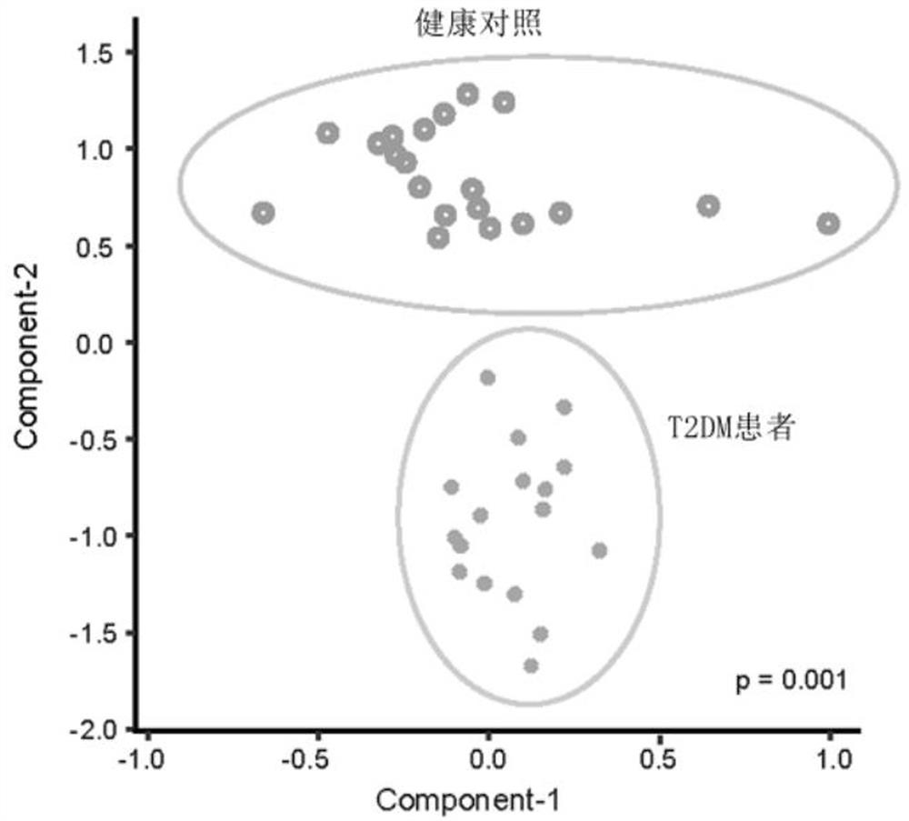 Microbial marker for evaluating fecal microbiota transplantation curative effect of type 2 diabetes mellitus patients and application thereof