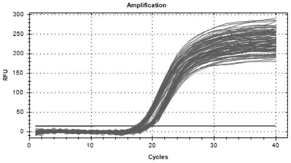 Method for detecting Hu sheep NSMF gene CNV marker and application of method