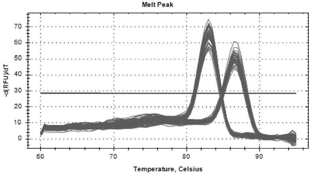 Method for detecting Hu sheep NSMF gene CNV marker and application of method