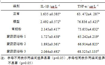 Mongolian medicinal bath powder for treating arthritis and preparation method thereof