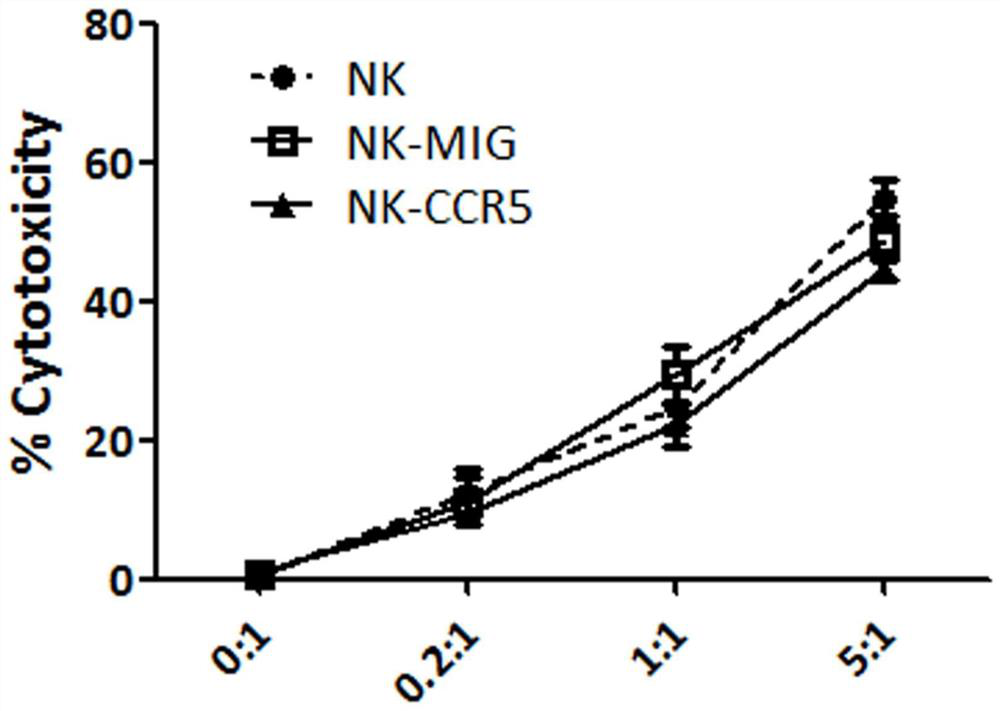 The method of improving the targeting force of NK cells and the application of ccr5 gene