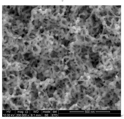 Method for preparing nano-structure transition metal nitride thin film by using plasma