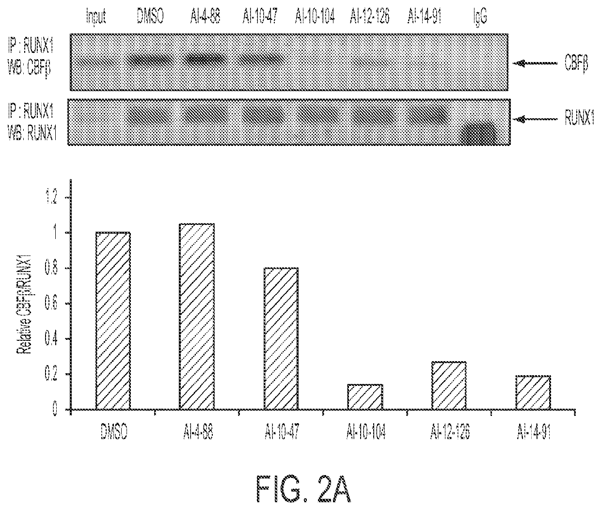 Cancer therapeutics