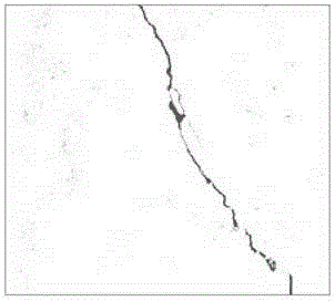 Proportion detecting algorithm and system for cracks in road surface image