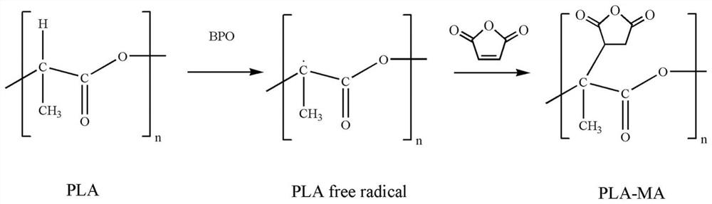 Quantum dot fluorescence coded polylactic acid microspheres as well as preparation method and application thereof