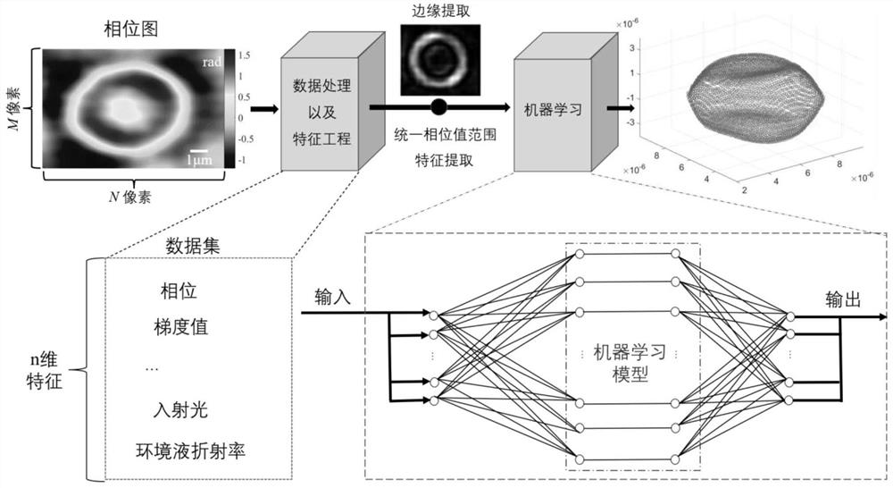 Three-dimensional reconstruction method based on single phase diagram