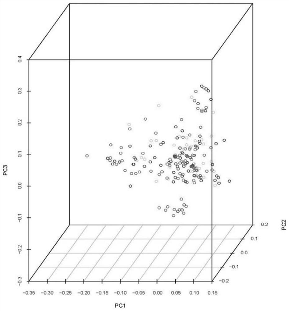 A Molecular Marker Affecting the Length Properties of Cashmere and Its Application