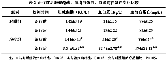 External patch for treating liver cirrhosis ascites and preparation method thereof